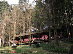 -青城山