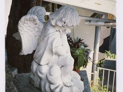 -芽庄大教堂