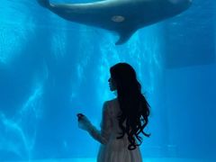 -海合安成都极地海洋公园
