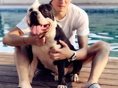 -汪说喵讲宠物乐园宠物酒店(红星美凯龙店)