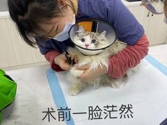 -福州肆爪动物医院