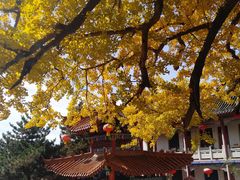 -尧山风景区