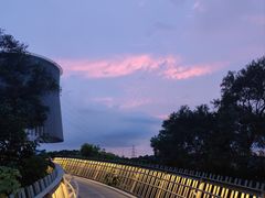 -福道