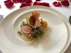 -蝶舍·MAISON PAPILLON