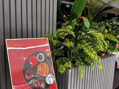 -初花·日本料理