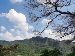 -羚羊峡古栈道森林公园