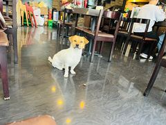 -古代饭堂(冠亚店)