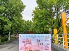 -顾村公园