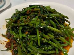 马来风光蔬菜-莆田餐厅PUTIEN(世博源店)