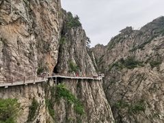 -老君山风景名胜区