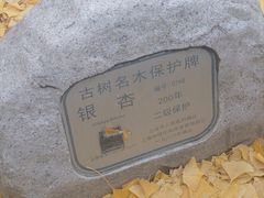 -上海青龙寺
