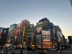 -秋叶原电器街