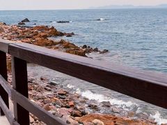 -小麦岛公园