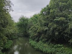 -西溪国家湿地公园