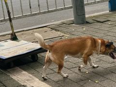-糯米团油茶早餐铺