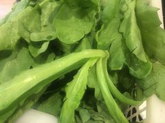 茼蒿-湘肠香火锅店(团结湖店)
