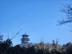 -杭州半山国家森林公园