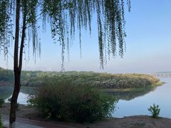 -丁香湖公园