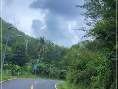-海南热带雨林国家公园吊罗山景区