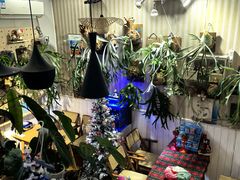 -Rabbit Cafe私房西餐甜点咖啡(栖霞路店)