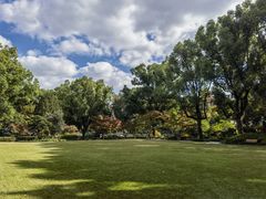 -申粤轩·手工点心·金牌烧味·经典粤菜(丁香花园店)