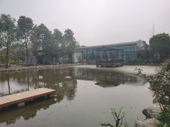 -洪湖家庭农场·团建·露营·会议