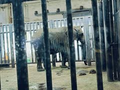 -鄂尔多斯野生动物园