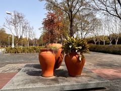-白塘生态植物园