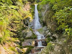 -东天目山风景区