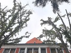 -中山路壹号传奇club·啤酒花园餐厅