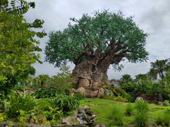 -奥兰多迪士尼动物王国乐园