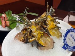 -东海怡品海鲜豆捞(舟宿夜江店)