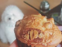 -多乐之日(田林东路店)
