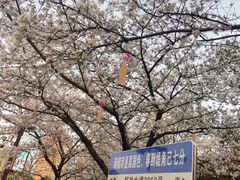 -堤角公园