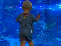 -成都浩海立方海洋公园