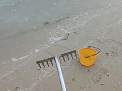 -北海金海湾红树林生态旅游区