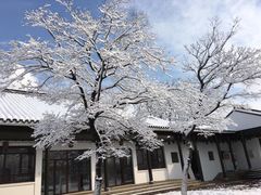 -梁鸿国家湿地公园