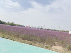 -西海岸生态观光园