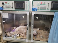 -北京派仕佳德动物医院·超导核磁·CT·神经科·骨科·内外科·急重症管理中心