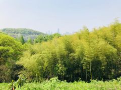 -紫金山索道-售票处