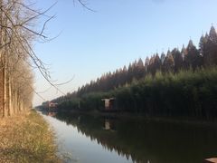 -黄海国家森林公园