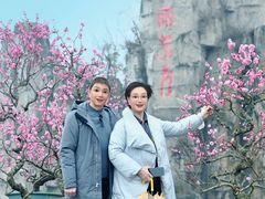 -秀丽东方