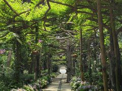 -广西壮族自治区药用植物园