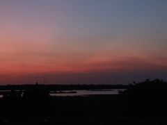 -大湾区中央湿地公园-十九涌