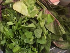 -金鼎雪山牦牛杂火锅(理县总店)