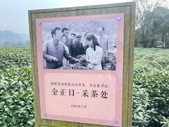 -中国茶叶博物馆(双峰馆区)