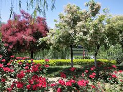 -西安汉城湖景区