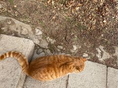 -北京凤凰岭