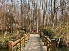 -桤木河湿地公园