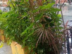 -西语·炭烧牛排(卓越中寰店)